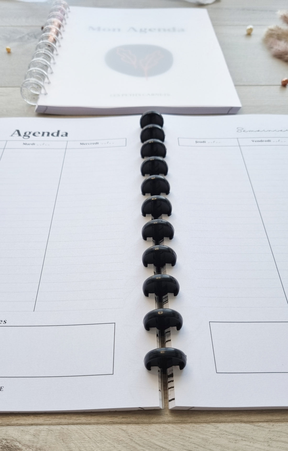Agenda non daté rechargeable - Semainier ou Journalier - Organisation - Planning - RDV