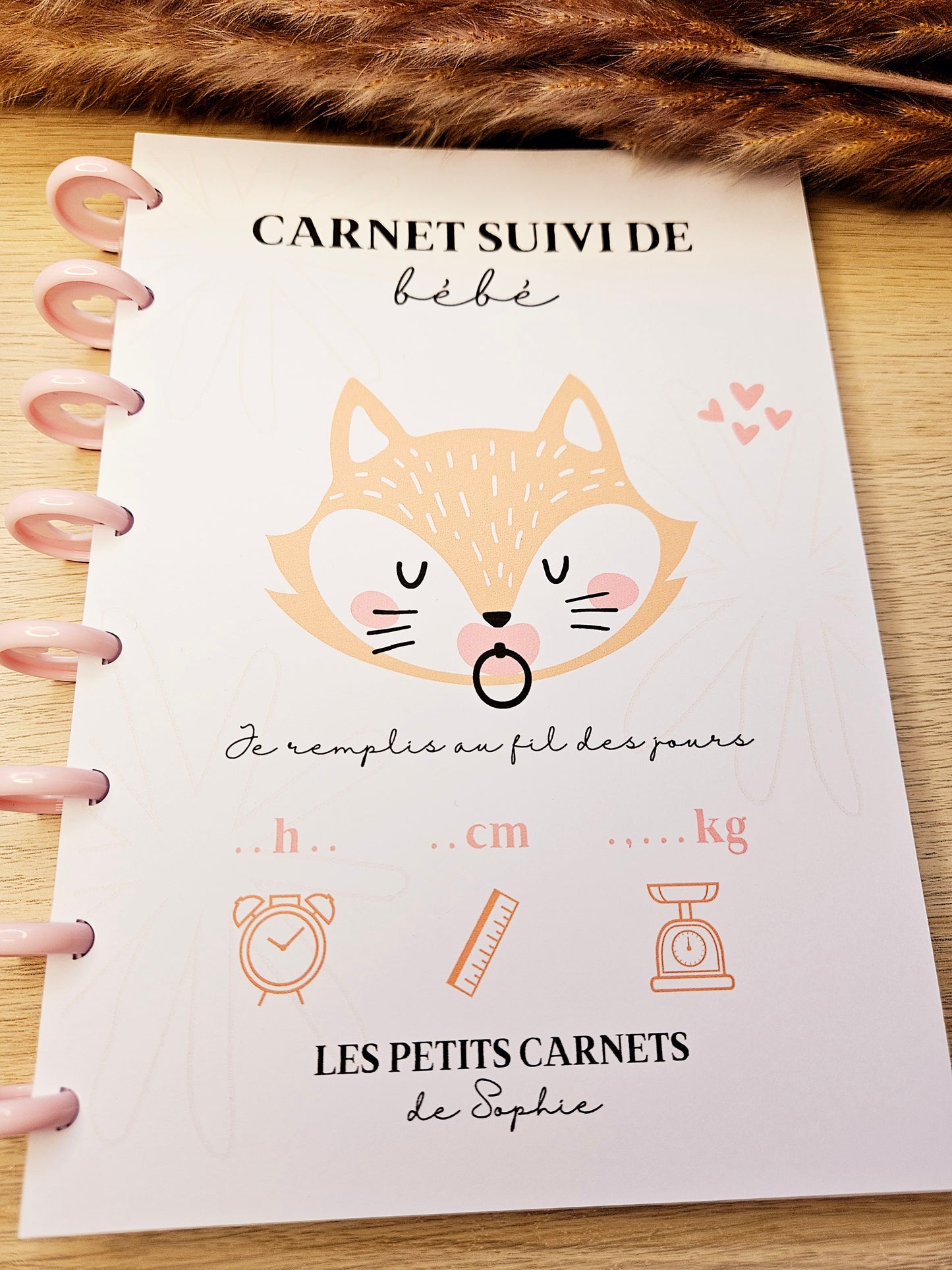 Carnet Suivi Bébé : suivre les 100 premiers jours de bébé