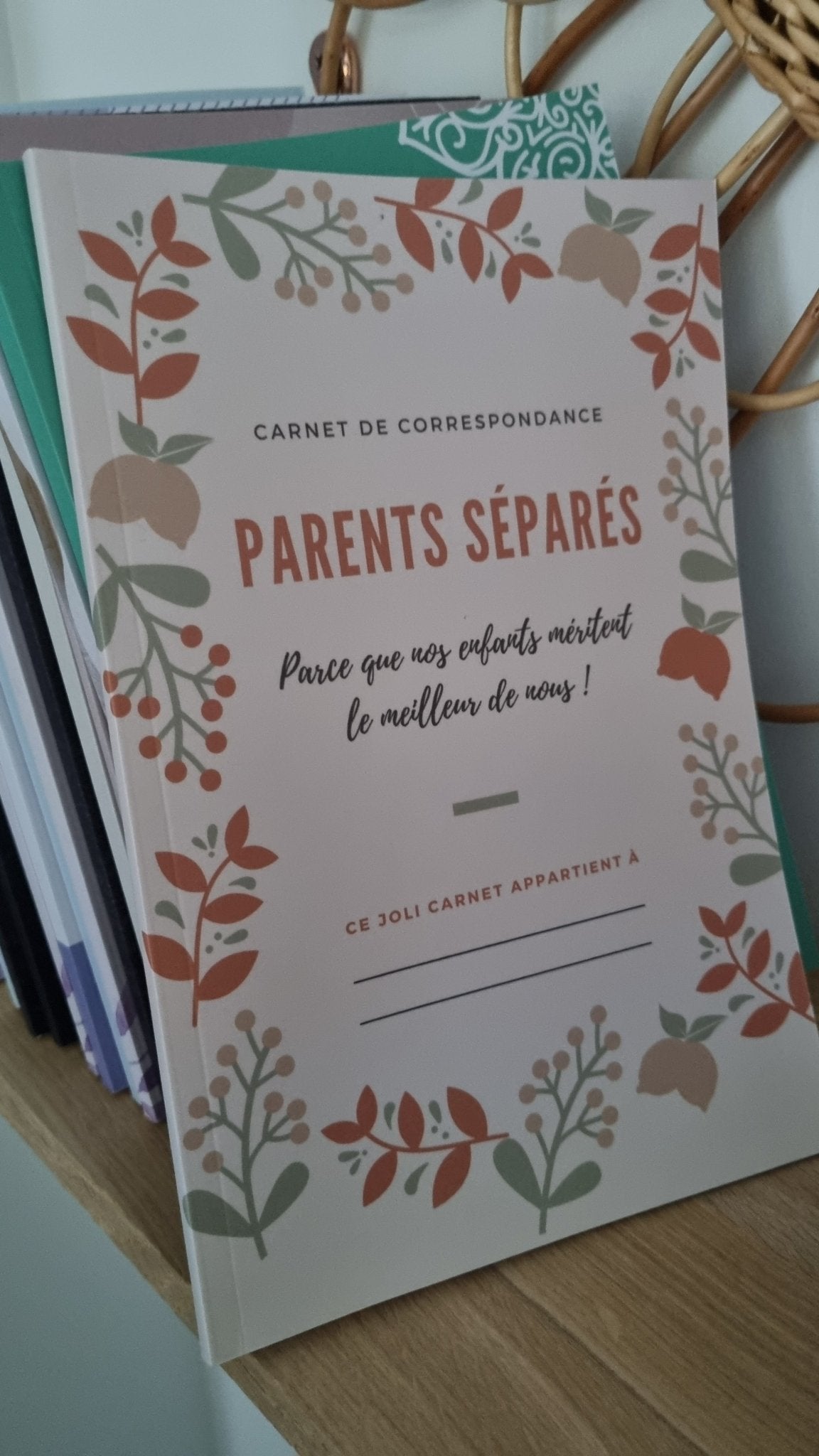Carnets en déstockage