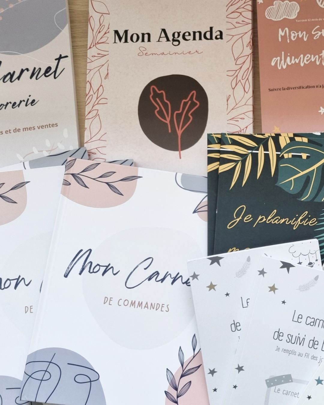 Carnets en déstockage