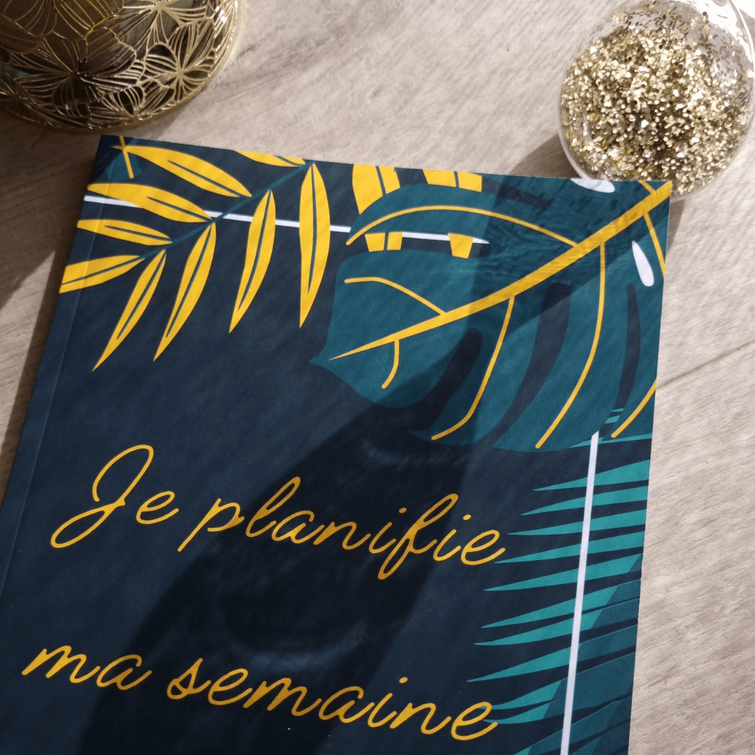 Carnets en déstockage