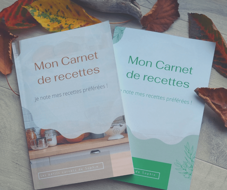 Carnets en déstockage