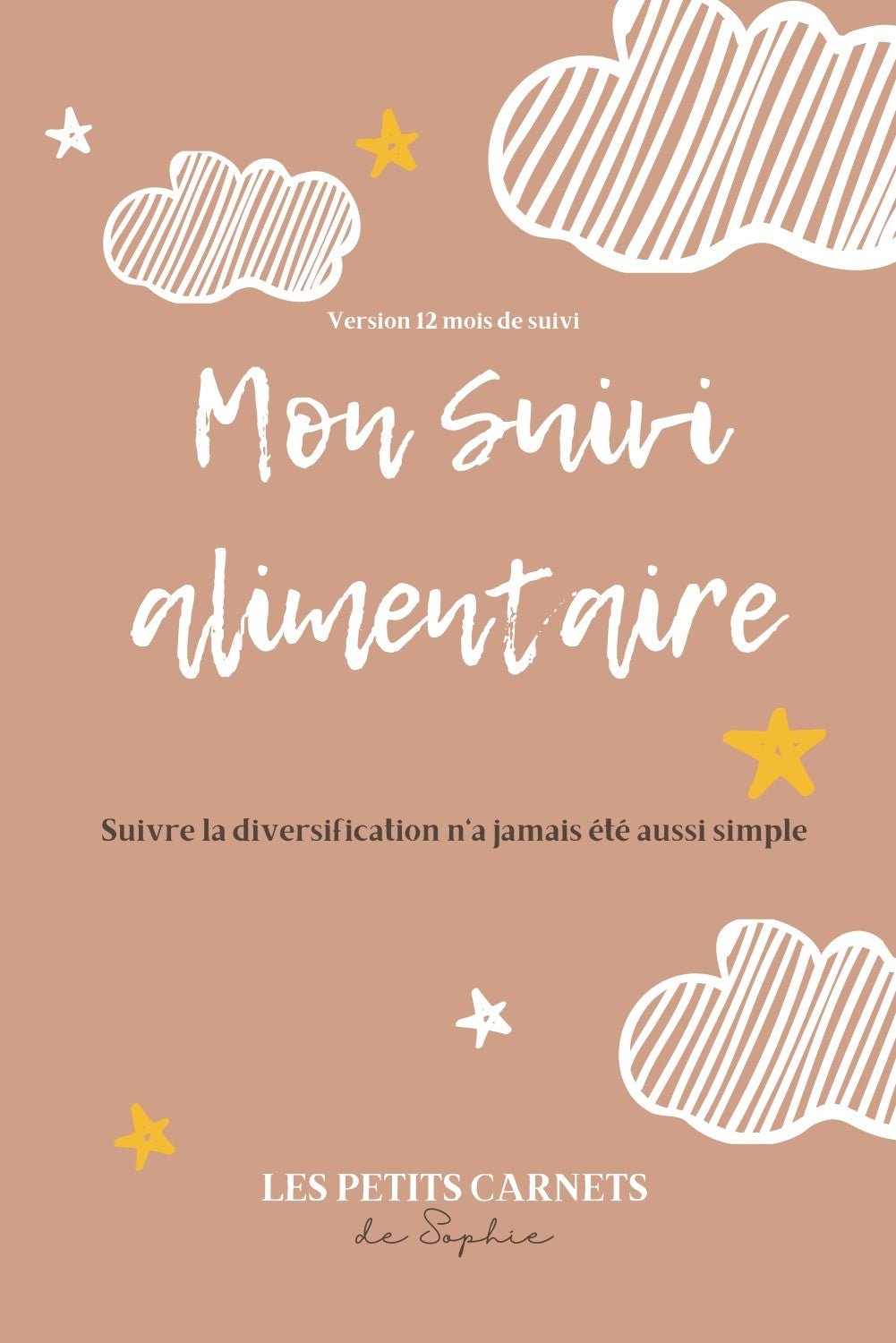 Carnets en déstockage